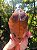 Dream Coat Red Cap Gêmeo - Imagem 1