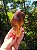 Dream Coat Red Cap - Imagem 1