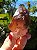 Dream Coat Red Cap - Imagem 9
