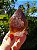 Dream Coat Red Cap - Imagem 2