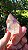 Casaco dos Sonhos - Dream Coat - Imagem 6