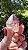 Casaco dos Sonhos - Dream Coat - Imagem 1