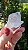 Cristal com Hematita - Imagem 1