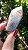 Cristal Phantom - Imagem 3