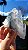 Drusa Blue Tara - Imagem 10