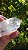 Cristal Biterminado - Imagem 4