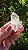 Cristal Biterminado - Imagem 2