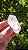 Cristal Biterminado - Imagem 3