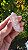 Cristal Biterminado - Imagem 1
