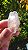 Cristal Biterminado - Imagem 2
