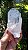 Cristal Autocurado Biterminado - Imagem 2