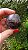 Esfera Super Seven - Imagem 1