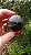 Esfera Super Seven - Imagem 2