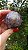 Esfera Super Seven - Imagem 3