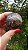 Esfera Super Seven - Imagem 1