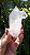 Cristal Biterminado - Imagem 3