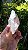 Cristal Biterminado - Imagem 4