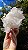 Drusa de Cristal - Imagem 4