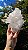 Drusa de Cristal - Imagem 5