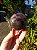 Esfera Super Seven - Imagem 3