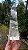 Obelisco de Cristal Extra - Imagem 1