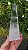 Obelisco de Cristal - Imagem 1