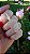 Pingente Pink Sugar - Imagem 1