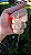 Pingente Pink Sugar - Imagem 3