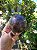 Esfera Super Seven - Imagem 1