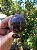 Esfera Super Seven - Imagem 4