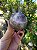 Esfera Super Seven - Imagem 4