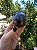 Esfera Super Seven - Imagem 1