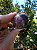 Esfera Super Seven - Imagem 3