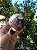 Esfera Super Seven - Imagem 1