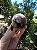 Esfera Super Seven - Imagem 3