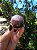 Esfera Super Seven - Imagem 1