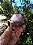 Esfera Super Seven - Imagem 3