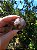 Esfera Super Seven - Imagem 2