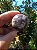Esfera Super Seven - Imagem 3