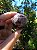 Esfera Super Seven - Imagem 4
