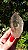 Mestre Canalizador Fumê - Imagem 4