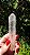 Varinha de Cristal Biterminada com Inclusão - Imagem 3