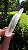 Cristal com Imprint - Imagem 1