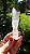 Quartzo Cristal - Imagem 1