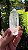 Mestre Ancestral - Imagem 4
