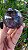 Esfera Super Seven - Imagem 2