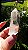 Cristal Ancestral - Imagem 5