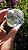 Esfera de Cristal Extra Multifacetada - Imagem 4