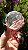 Esfera de Cristal Extra Multifacetada - Imagem 3