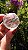 Esfera de Cristal Extra Multifacetada - Imagem 3